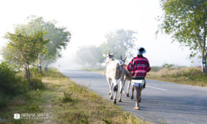 Panchapalli – Of Crisp Air and Serene Waters