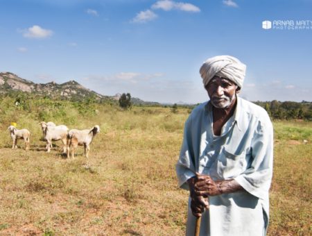 The Weekly Frame – The Old Shepherd