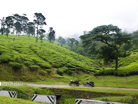 Bangalore To Munnar: From Mundane Highways to Misty Hills