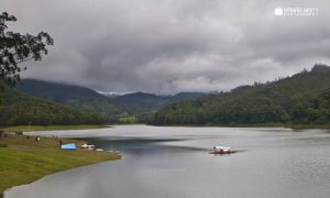 Mesmerized at Munnar